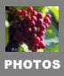 Domaine en image